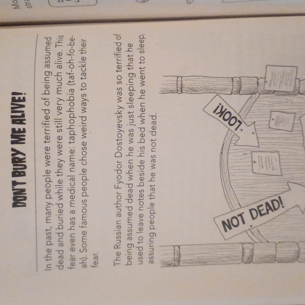 Killer History- by Clive Gifford - Picture 5 of 16